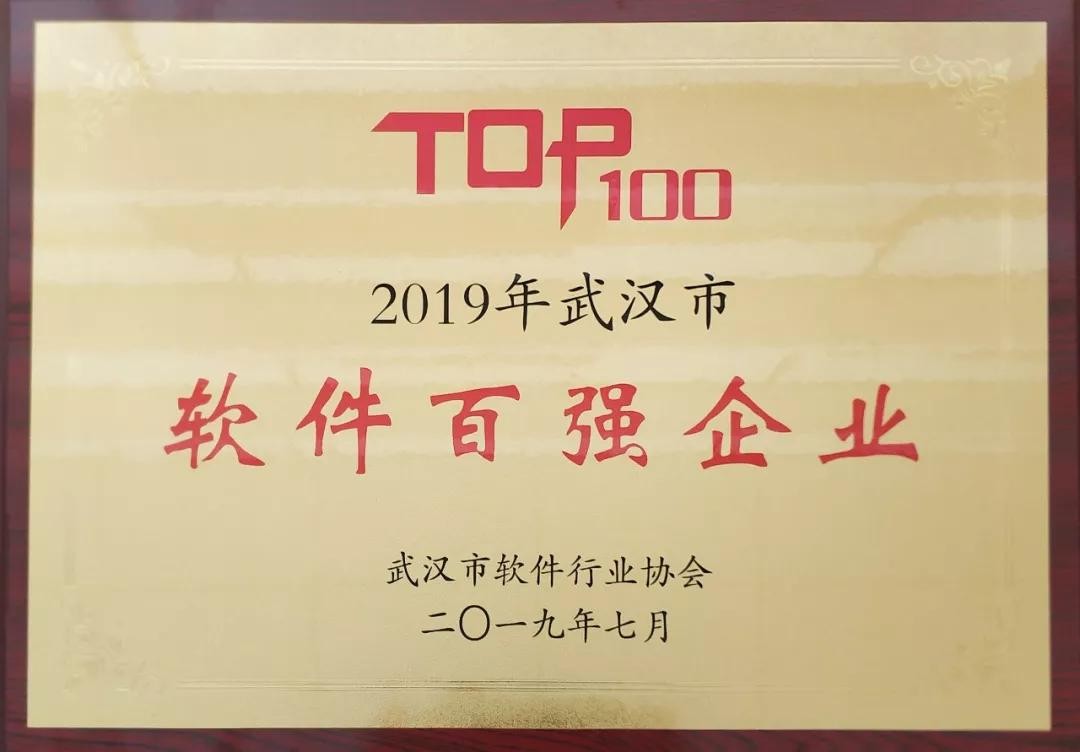 GA黄金甲动力荣获2019年武汉市软件百强企业榜单第一名
